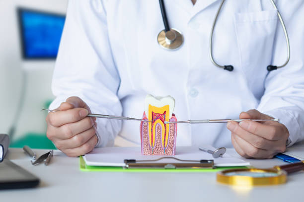 Best Same-Day Emergency Dental Services in Kittery Point, ME